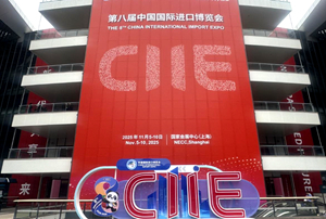 第八届中国国际进口博览会