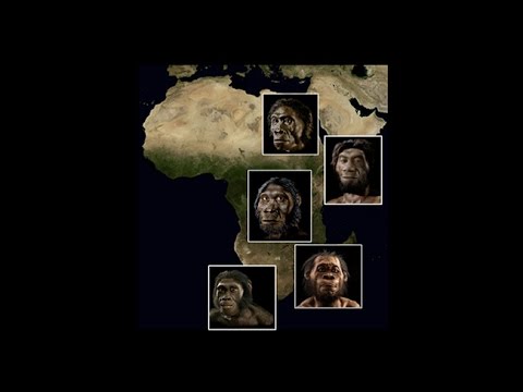 White College Students Angry they originated in Africa