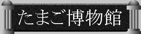 たまご博物館