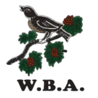 West Bromwich Albion