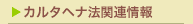 �J���^�w�i�c�菑�̍����S�ۖ@�ł���u��`�q�g�����������̎g�p���̋K���ɂ�鐶���̑��l���̊m�ۂɊւ���@���v�̏𕶂ȂǍ����@���x�Ɋ֘A������񂪂����ɂȂ�܂��B