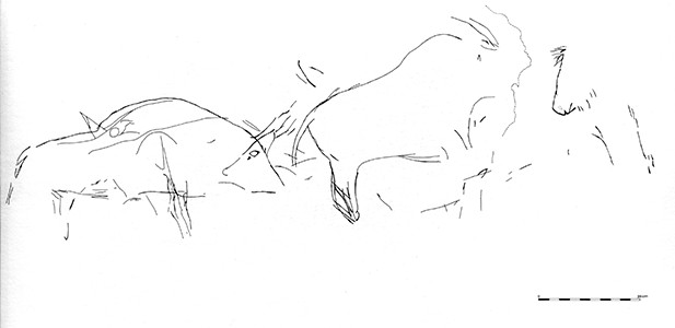 Panel A, Les Combarelles II in the Dordogne