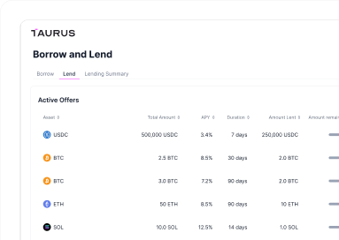 Illustration Taurus-NETWORK