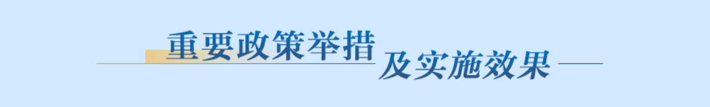重要政策举措及实施效果
