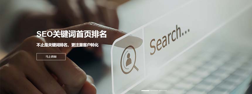 关键词首页排名