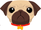 Pug