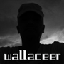 wallaceer
