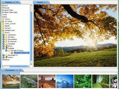 Vizi with all tabs expanded