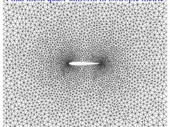 mesh adapted to the wing