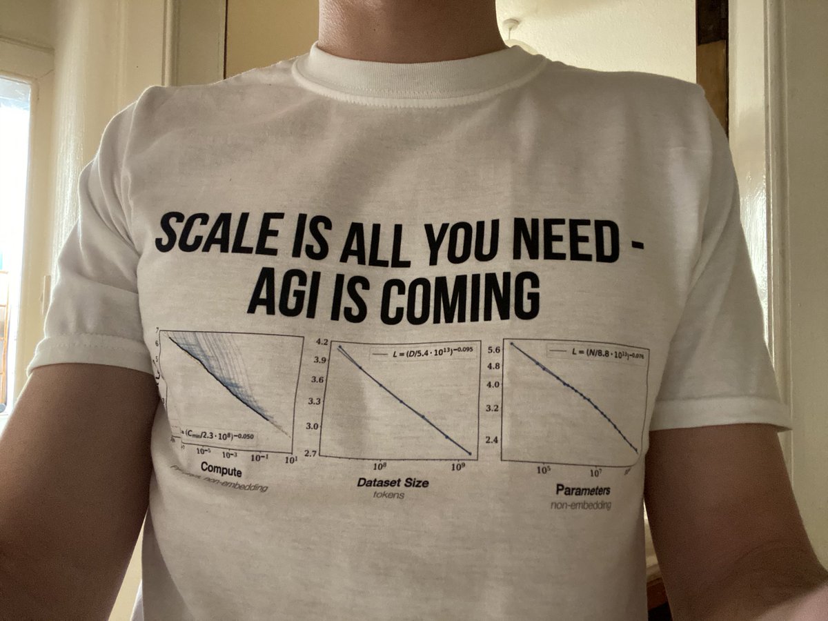 Person with a shirt that reads: "SCALE IS ALL YOU NEED - AGI IS COMING" above three graphs demonstrating the 'AI scaling laws'
