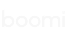The Boomi logo, with its sleek, modern design and sans-serif typeface, signifies robust NHI Management. Astrix leads in NHI Security.