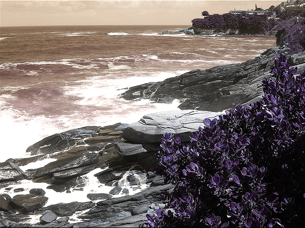 PhotoJShop: JavaScript image editing library