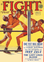 Thumbnail for Fight Stories