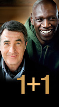 1+1