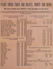 Cover of: Plant young trees for beauty, profit and shade