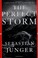 Cover of: The perfect storm