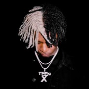 Cover of: Fortnite: Skins