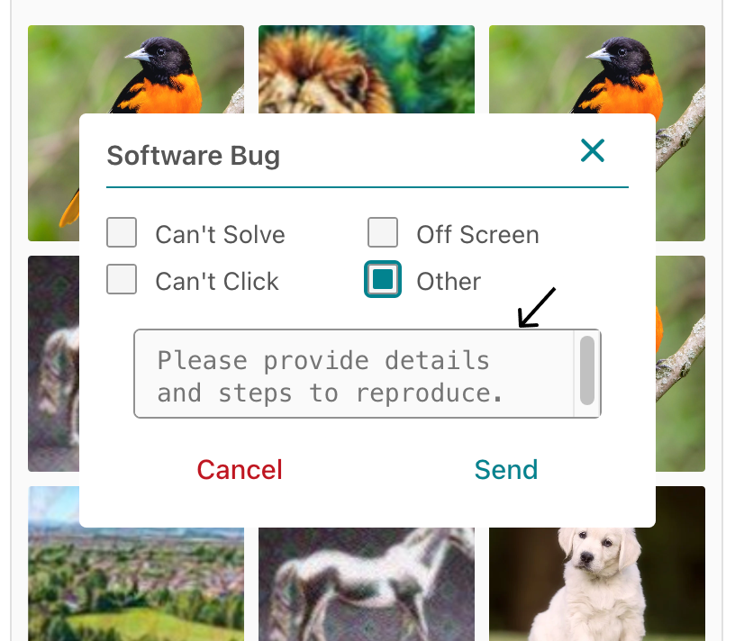 other bug report text area