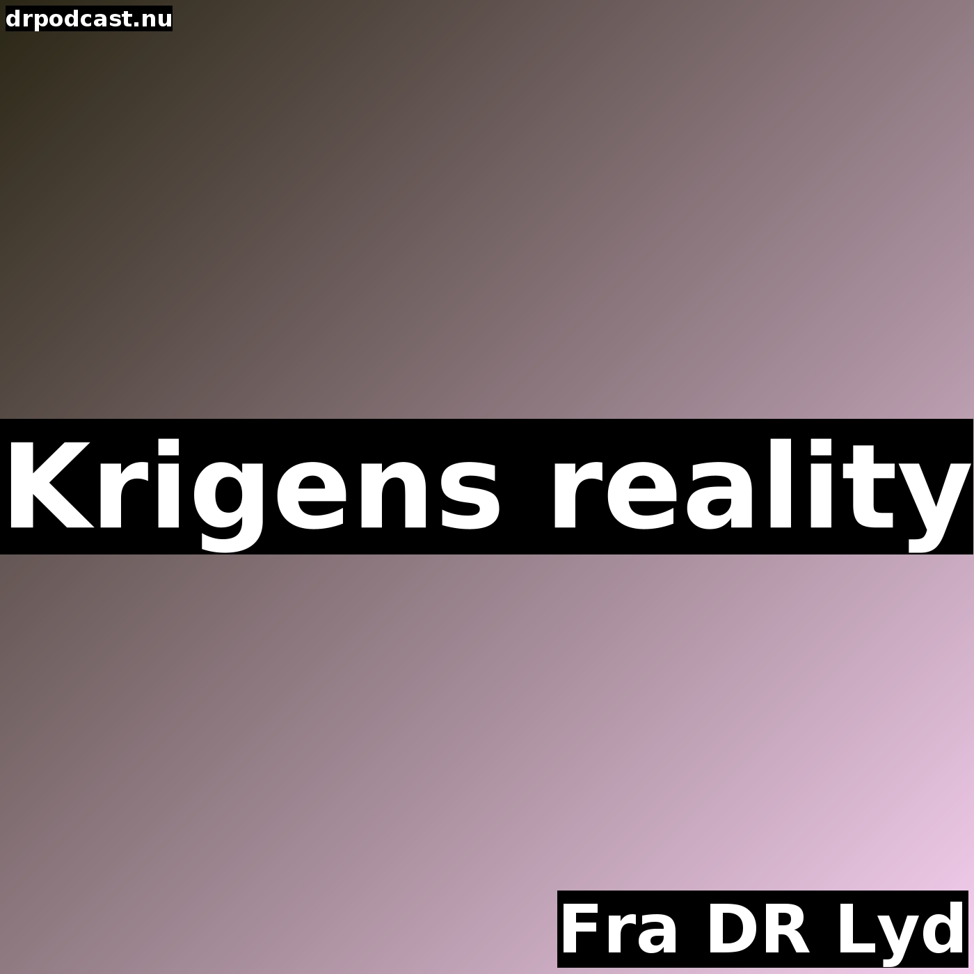 Krigens reality
