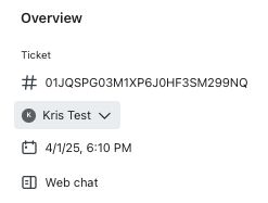 O menu Visão geral mostra os detalhes de um tíquete da Caixa de entrada, incluindo o responsável atual.
