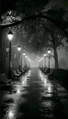 black and white photograph of benches under street lights in the rain at night with trees lining both sides
