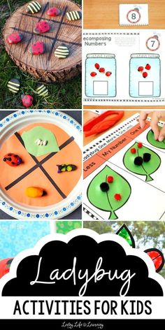 ladybug activities for kids to play with