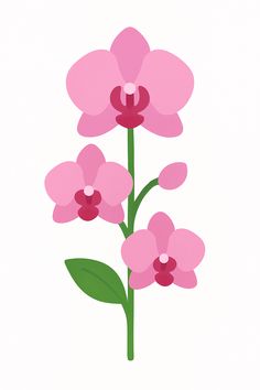 Minimalist Pink Orchid – Vector Illustration