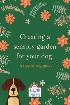 a dog sitting in front of flowers with the title creating a sensory garden for your dog