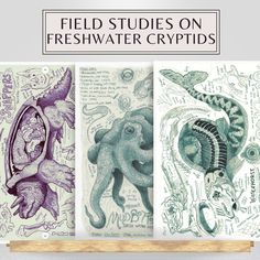 three drawings are shown with the words field studies on freshwater crypts above them