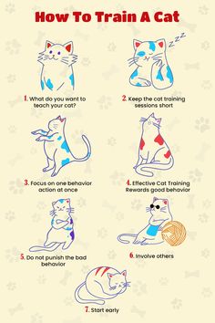 the instructions for how to train a cat with pictures and text on it's side