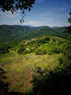 an open field with trees and mountains in the background