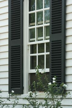 an open window with black shutters and white flowers