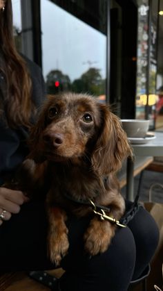 a woman holding a small brown dog in her lap while sitting at a table outside