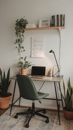 a desk with a laptop and some plants