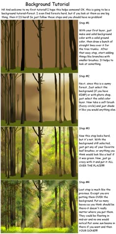 four different trees in the woods with text