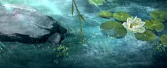 an image of water lilies and rocks in the pond