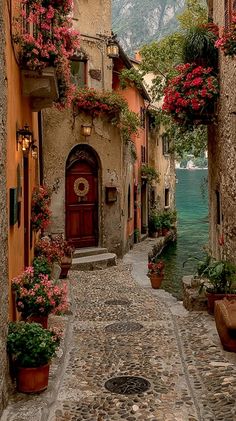 a cobblestone street with potted plants and flowers on either side of it