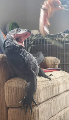 a lizard sitting on top of a couch with its mouth open