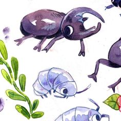 an image of bugs and flowers painted in watercolor