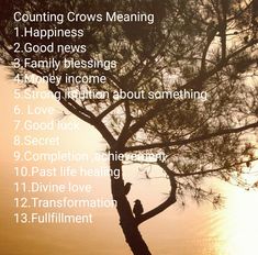Counting Crows meaning Crow Cawing Meaning, How Many Crows Mean What, 10 Crows Meaning, 5 Black Crows Meaning, Crow Number Meaning, Crows Number Meaning, Number Of Crows Meaning, 3 Crows Spiritual Meaning, Meaning Of Crows Gathering