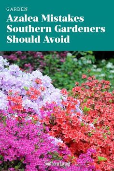 azalea mistakes southern gardeners should avoid cover art for the garden book