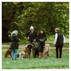 four people walking their dogs in the park