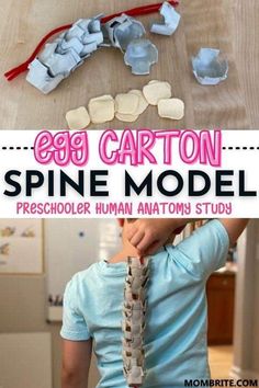 the instructions for how to make an egg carton spin model