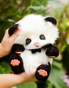 a small stuffed panda bear being held by someone's hand in front of some plants