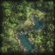 an aerial view of a river surrounded by palm trees and other greenery in the jungle