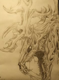 a pencil drawing of a dragon head