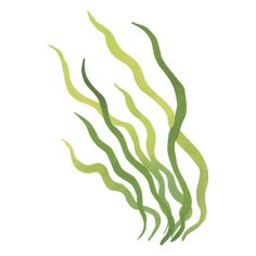 Seaweed in the depths PNG Design