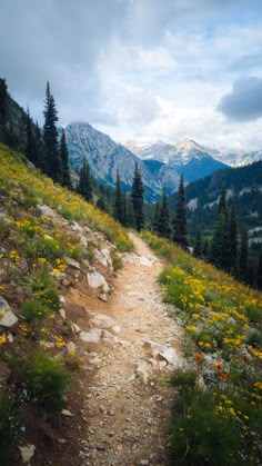hiking trail and mountain views in Washington USA
