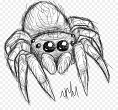 a drawing of a spider with big eyes