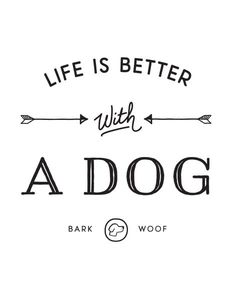 the words life is better with a dog and an arrow